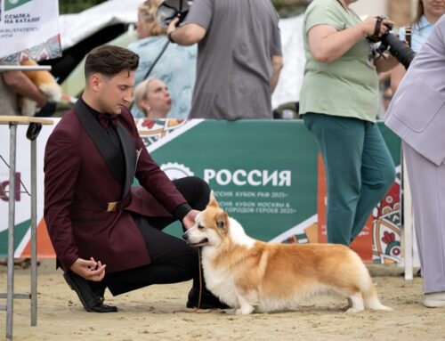 7.06.2025 — Россия 2025, Москва