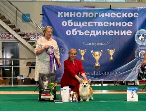 3.08.25 — 2NDS, Силичи, Беларусь.