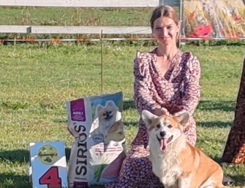 21.09.25 — NDS, Молодечно, Беларусь, Клуб Виктория