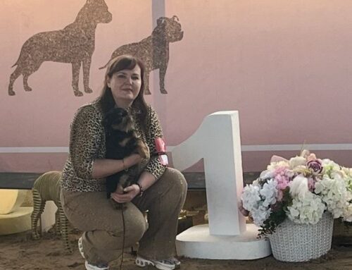 07.02.26 — 4NDS, гриффоны Айкемуно на выставке