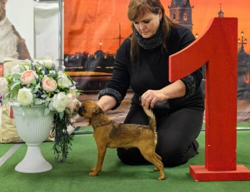 18.10.25 —  Выставка Олимп. 9 группа